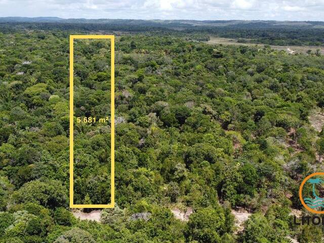 #749 - Terreno para Venda em Marau - BA