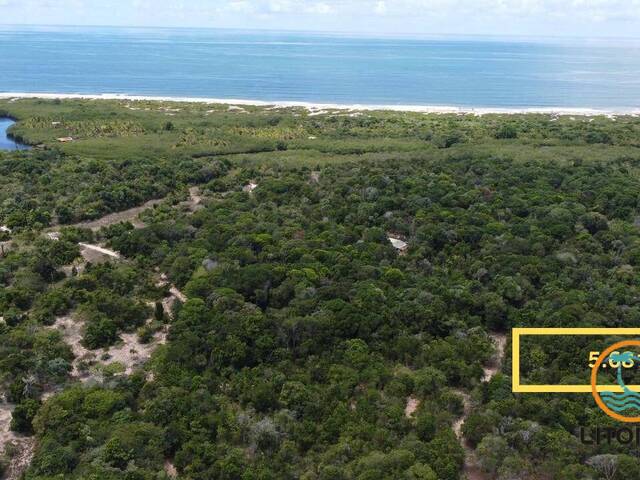 #749 - Terreno para Venda em Marau - BA