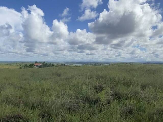 #750 - Área para Venda em Marau - BA