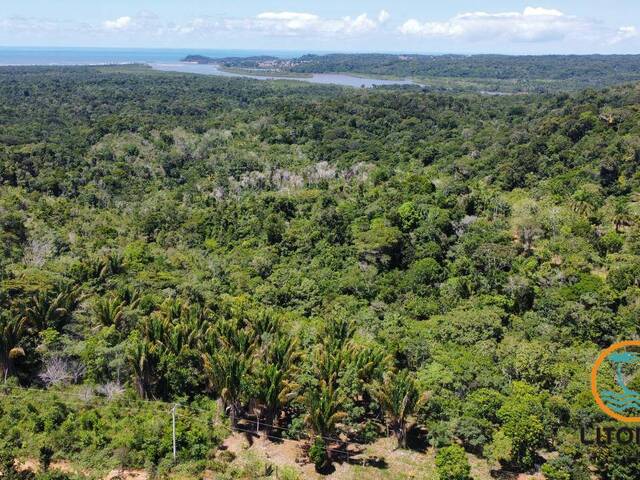 Área para Venda em Itacaré - 4