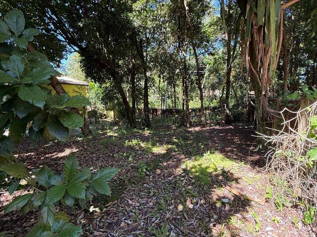 Terreno para Venda em Marau - 2