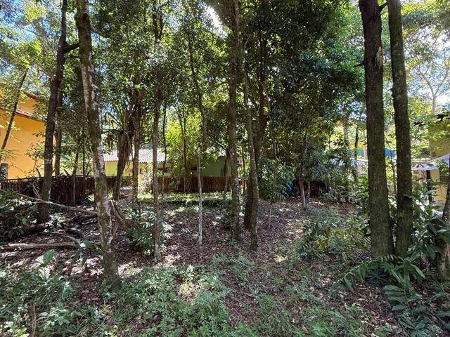 Terreno para Venda em Marau - 3