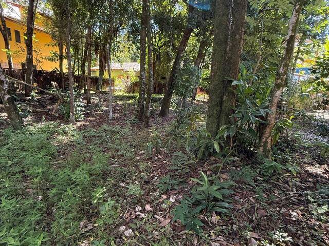 Terreno para Venda em Marau - 5