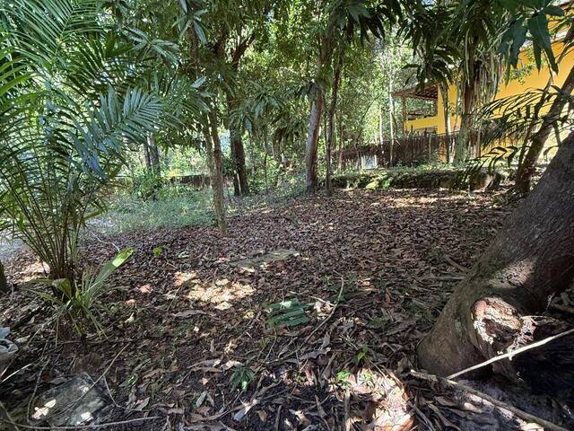 Terreno para Venda em Marau - 4