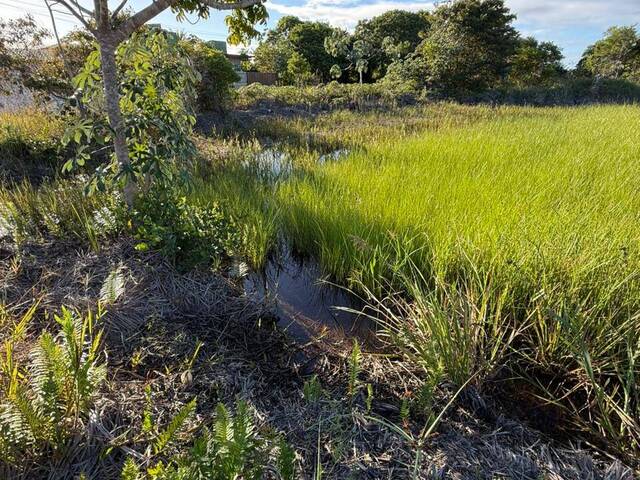Terreno para Venda em Marau - 2