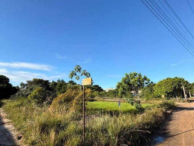 Terreno para Venda em Marau - 5