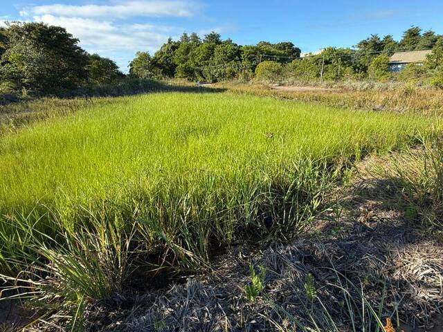 Terreno para Venda em Marau - 3