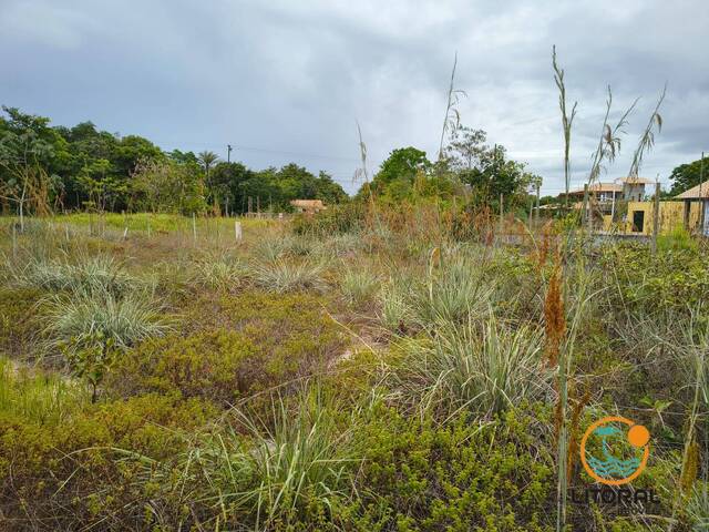 Terreno para Venda em Marau - 3