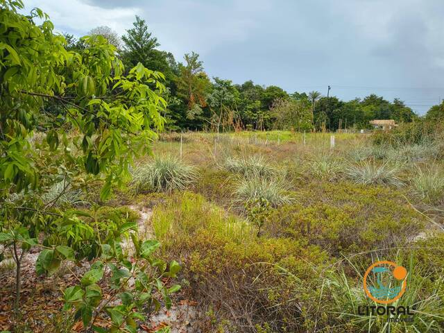 Terreno para Venda em Marau - 4