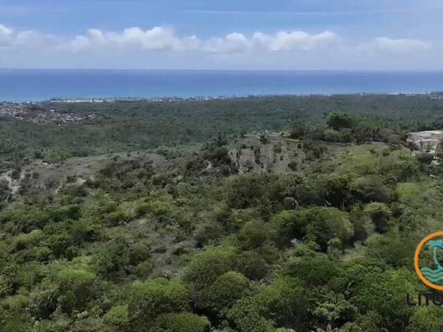 Área para Venda em Uruçuca - 3