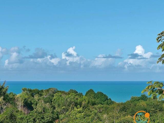 Venda em Serra Grande - Uruçuca - Uruçuca