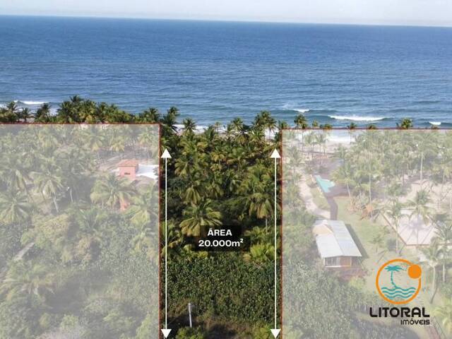 #775 - Área para Venda em Marau - BA
