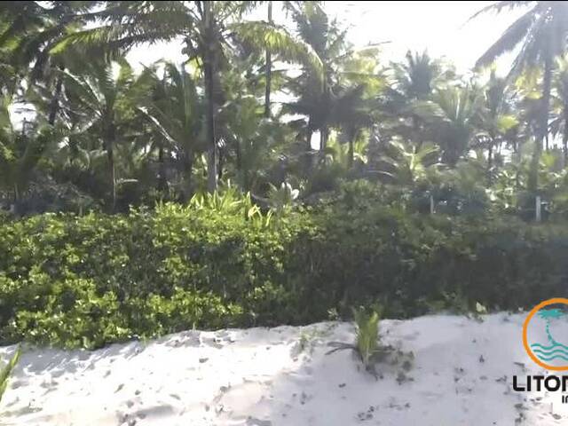 Área para Venda em Marau - 4
