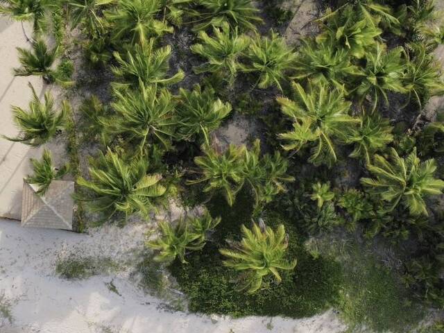 #775 - Área para Venda em Marau - BA