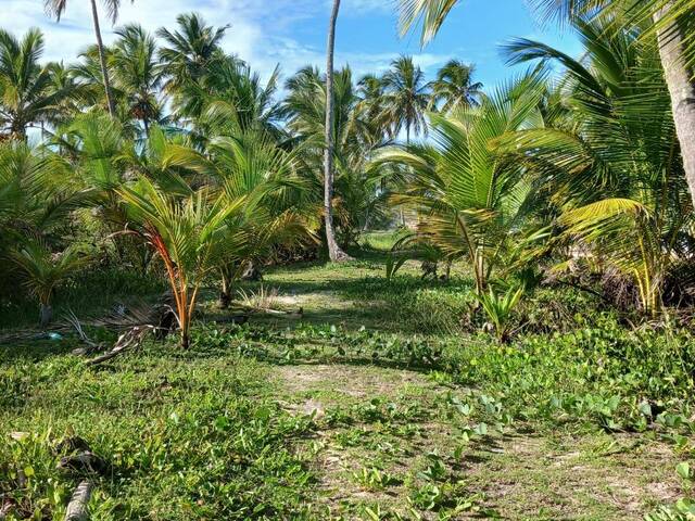 Área para Venda em Marau - 2