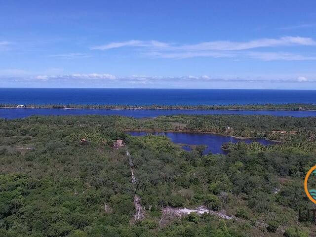 #653 - Área para Venda em Marau - BA