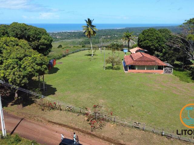 Venda em Serra Grande - Uruçuca - Uruçuca