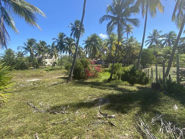 #604 - Terreno para Venda em Marau - BA