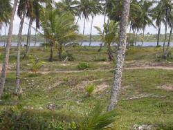 #2 - Terreno para Venda em Marau - BA