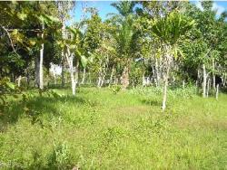 #72 - Fazenda para Venda em Itacaré - BA